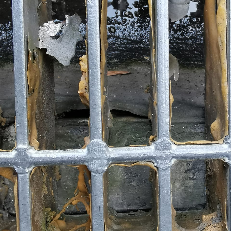 Distacco del colletto all'interno della bocca di lupo